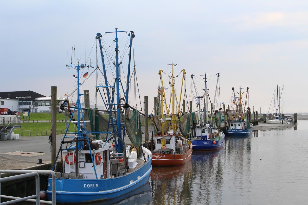 Ferienhaus Vogel - Dorum Neufeld - Nordsee Bagian luar foto